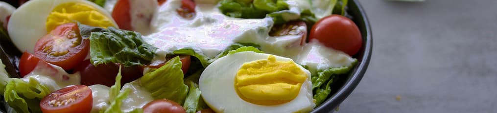 Header SaladPrep