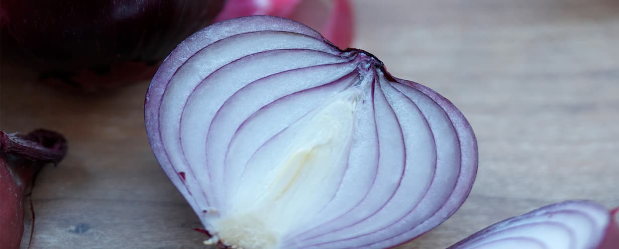 Header OnionCookingTips