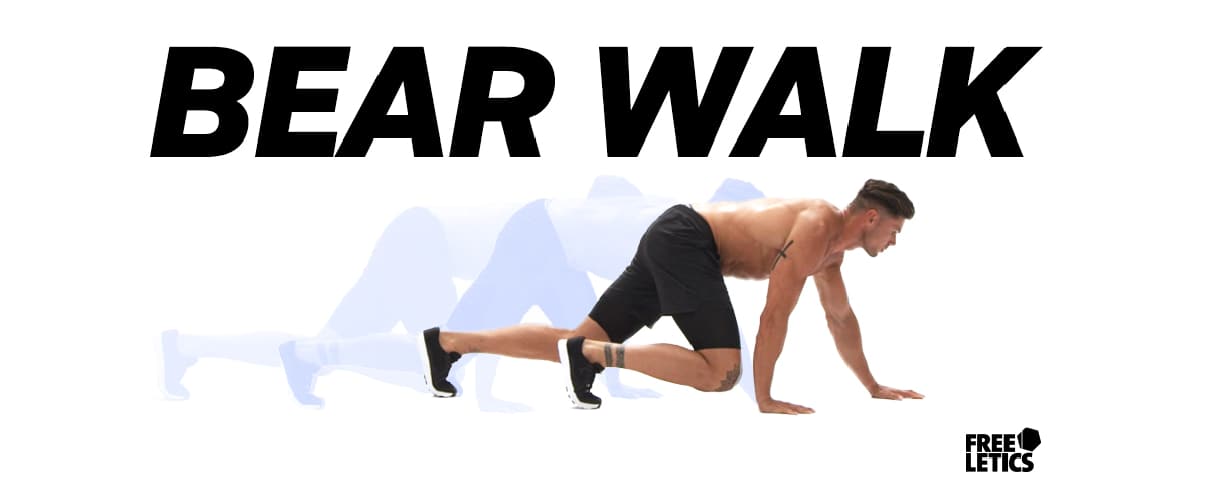 FL_1_Blog-Header-Pics_1232-x-630-bear-walk.png