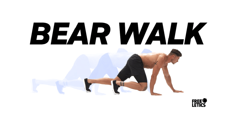 FL_1_Blog-Header-Pics_1232-x-630-bear-walk.png