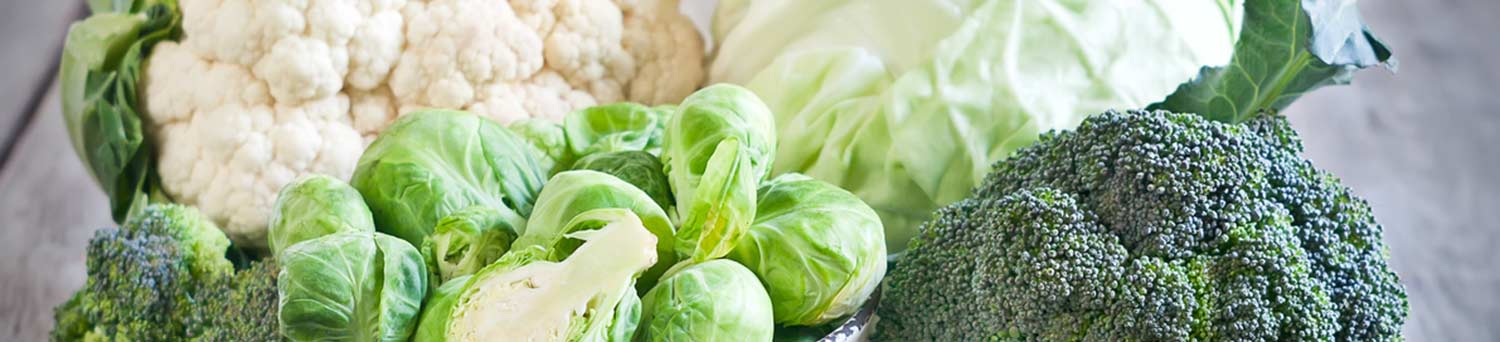 Header winterNUT food vegetables