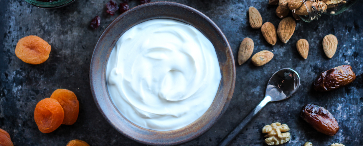 Greek Yogurt 1 header copy