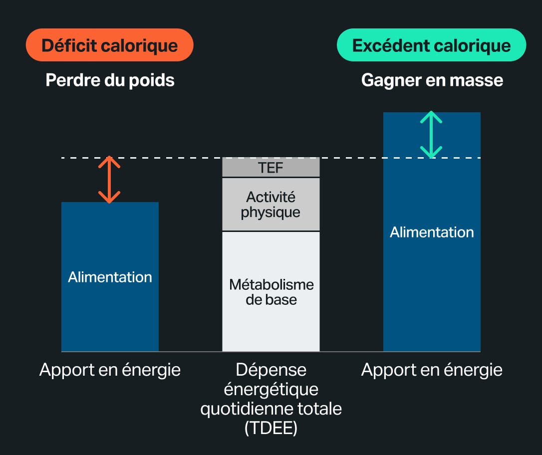 calorie-deficit-graph-fr.jpg