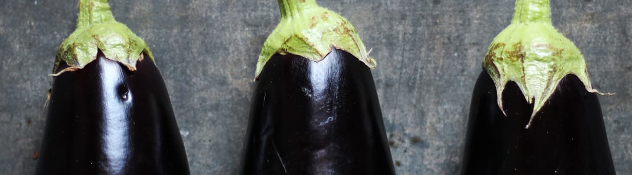 Header Aubergine