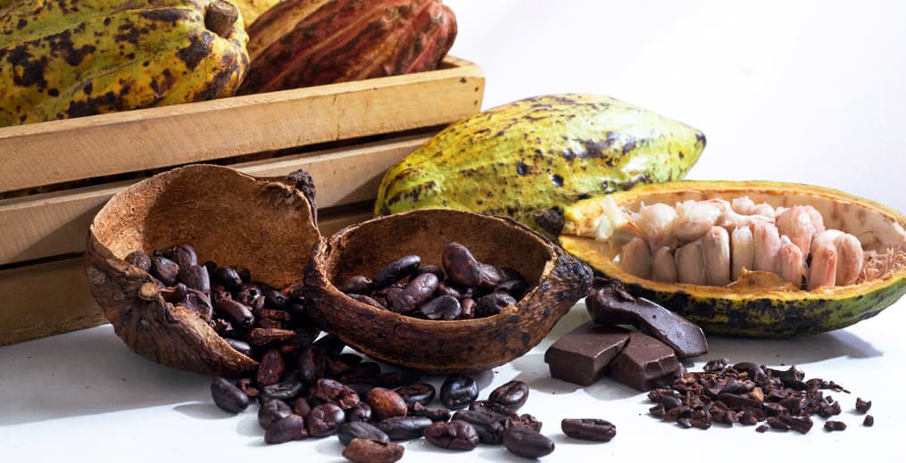 health-benefits-of-cacao-header.jpg