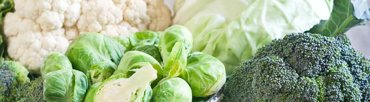 winter food vegetables
