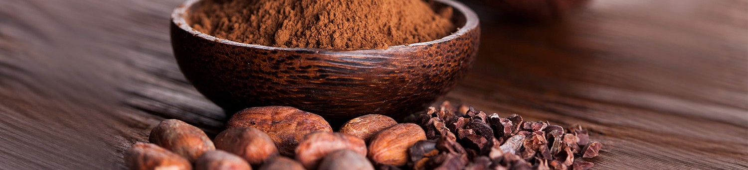 Header Cacao