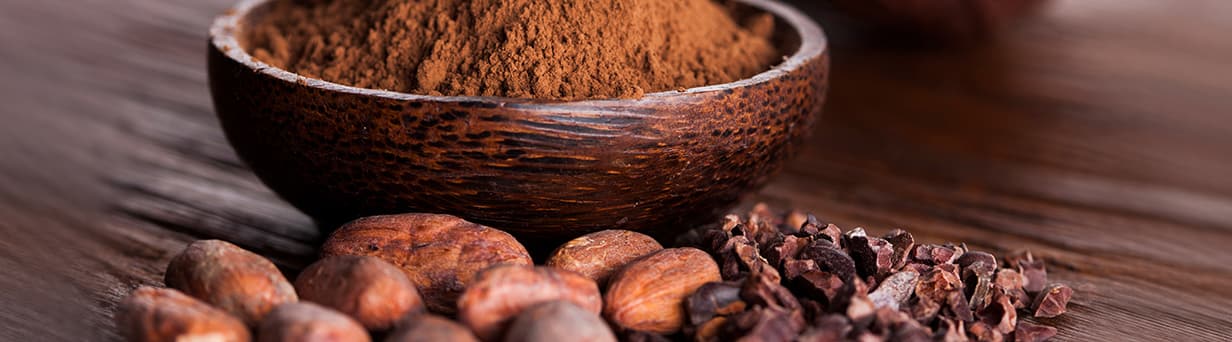 Header Cacao