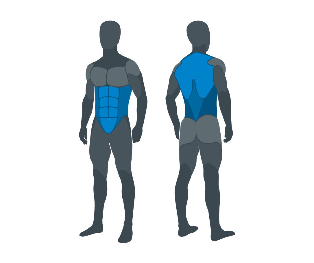 ab-wheel-core-muscles.jpg