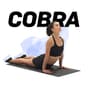 Blog-Header-Pics_1232-x-630-cobra.jpg