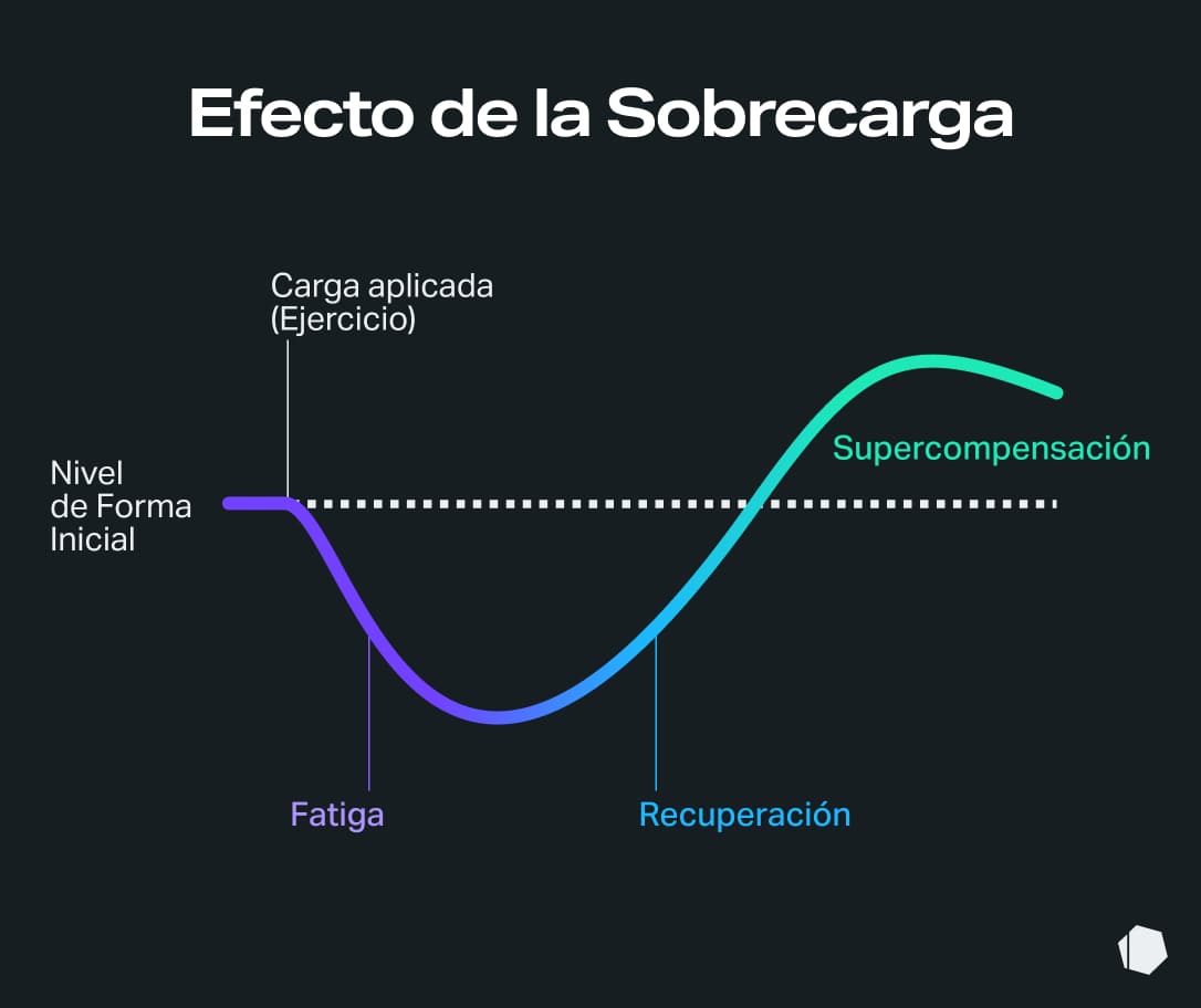 supercompensation-training-overload-recovery-chart-ES.jpg