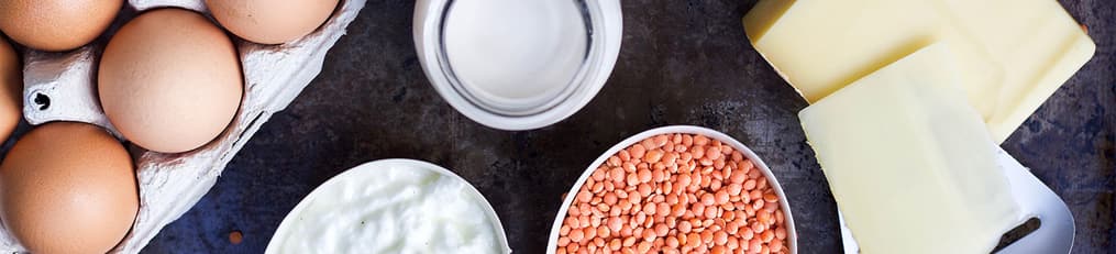 Header protein KC