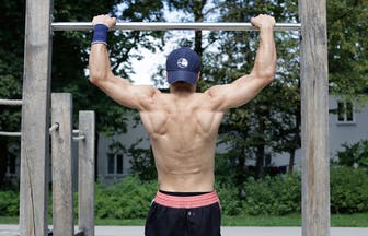 knowledge musclestructure