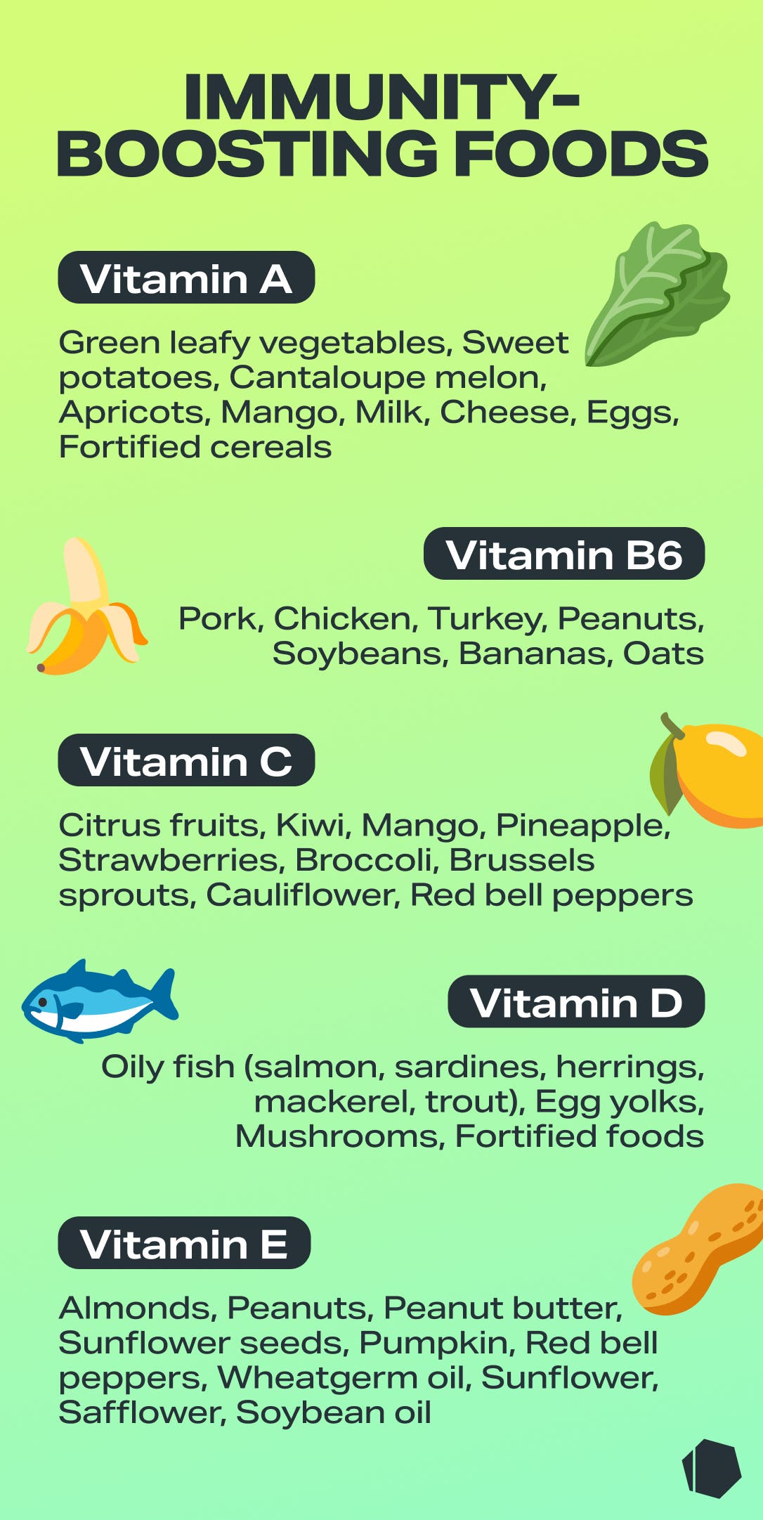 top-nutrients-for-strong-immune-system-1.jpg