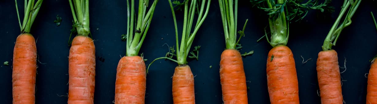 Header Carrots