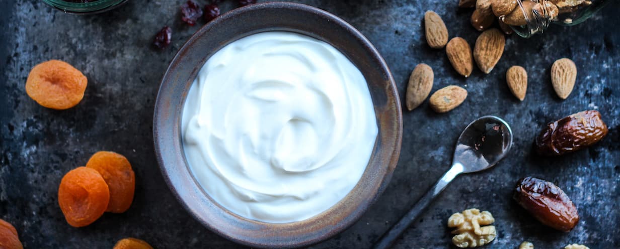 Greek Yogurt 1 header copy