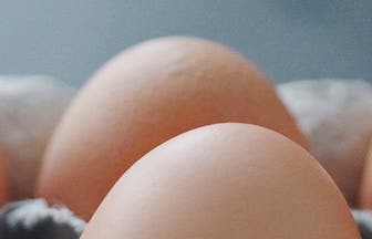 Header EggcellentTruth