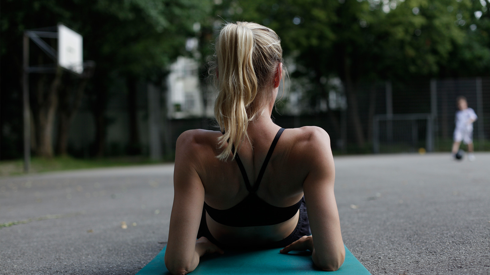 knowledge regeneration