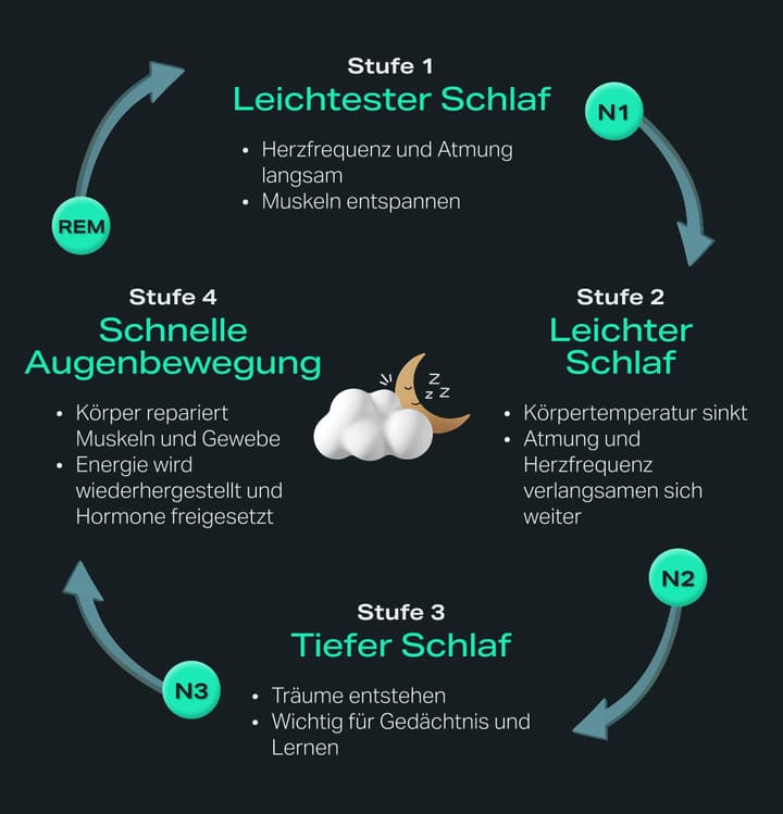 sleep-cycle-athletic-recovery-infographic-DE.jpg