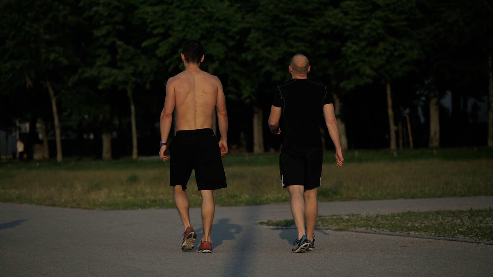 knowledge bettersleep