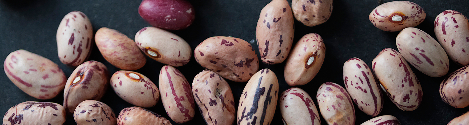 Header Berlotti beansjpeg