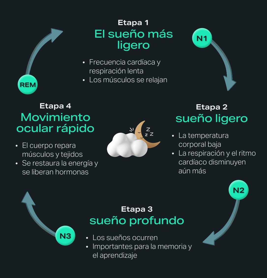 sleep-cycle-athletic-recovery-infographic-ES.jpg