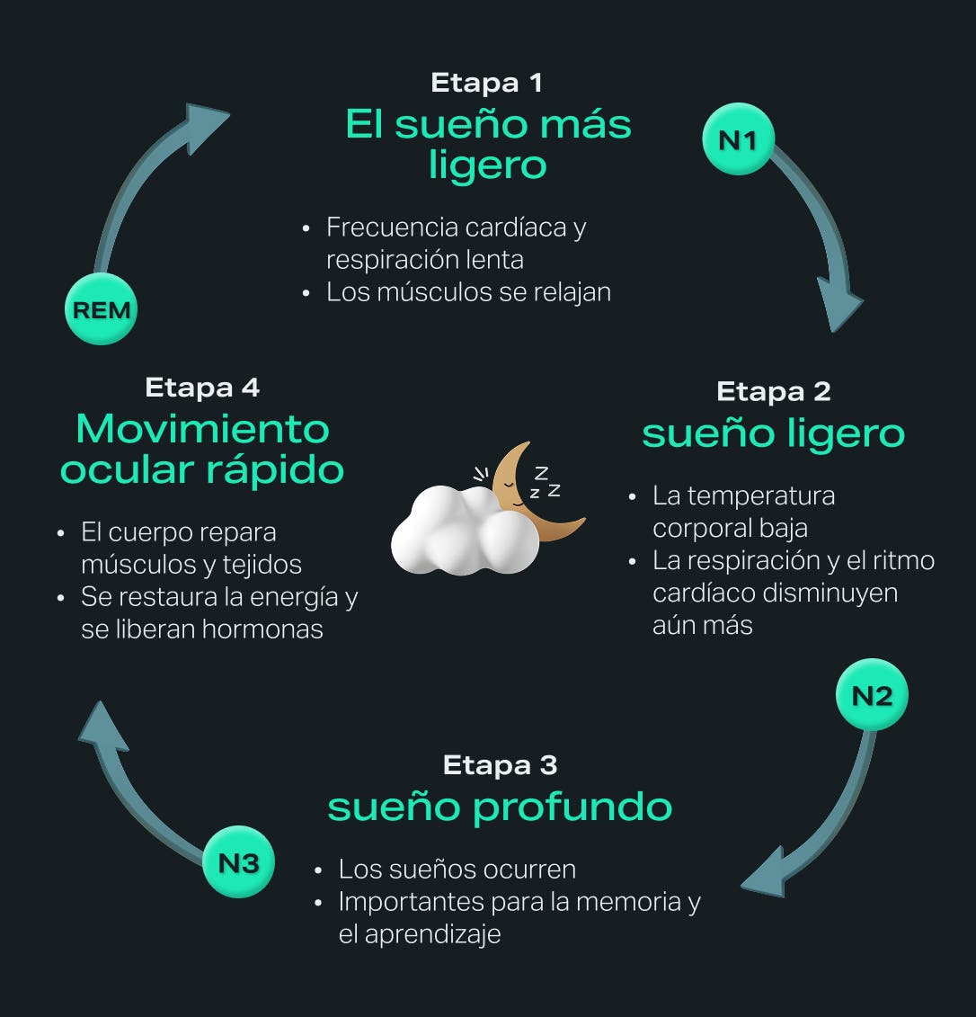 sleep-cycle-athletic-recovery-infographic-ES.jpg