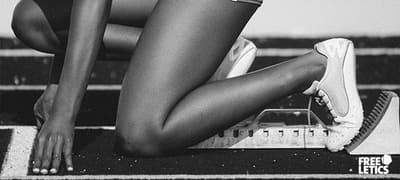 wilma header