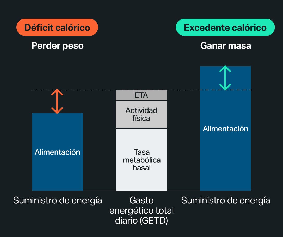 calorie-deficit-graph-es.jpg