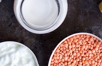 Header protein KC