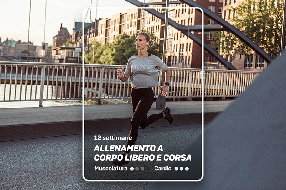 IT FL NL TJ-graphic-cards Hybrid