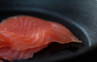 Salmon