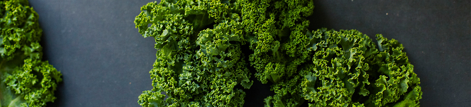 Header Kale