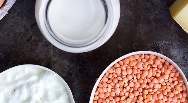 Header protein KC 620x342