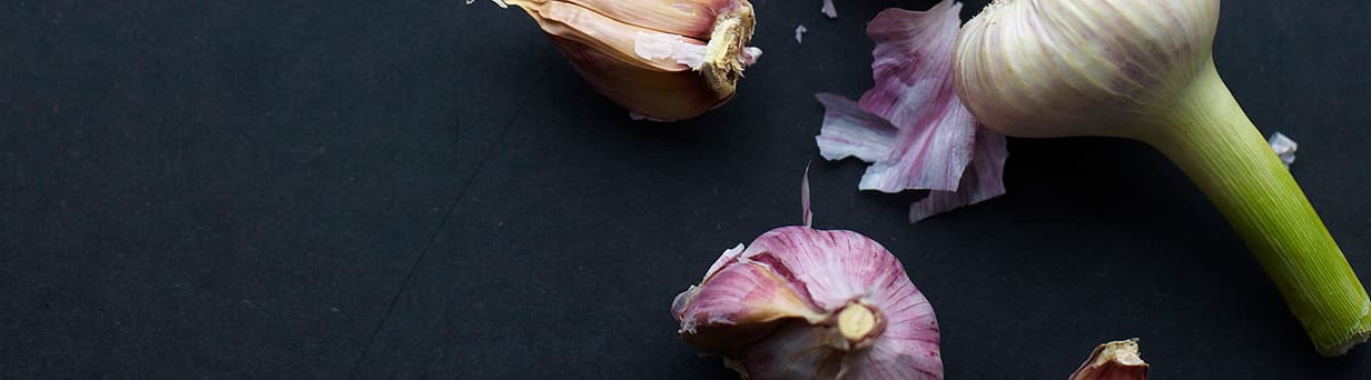 Header GarlicTips