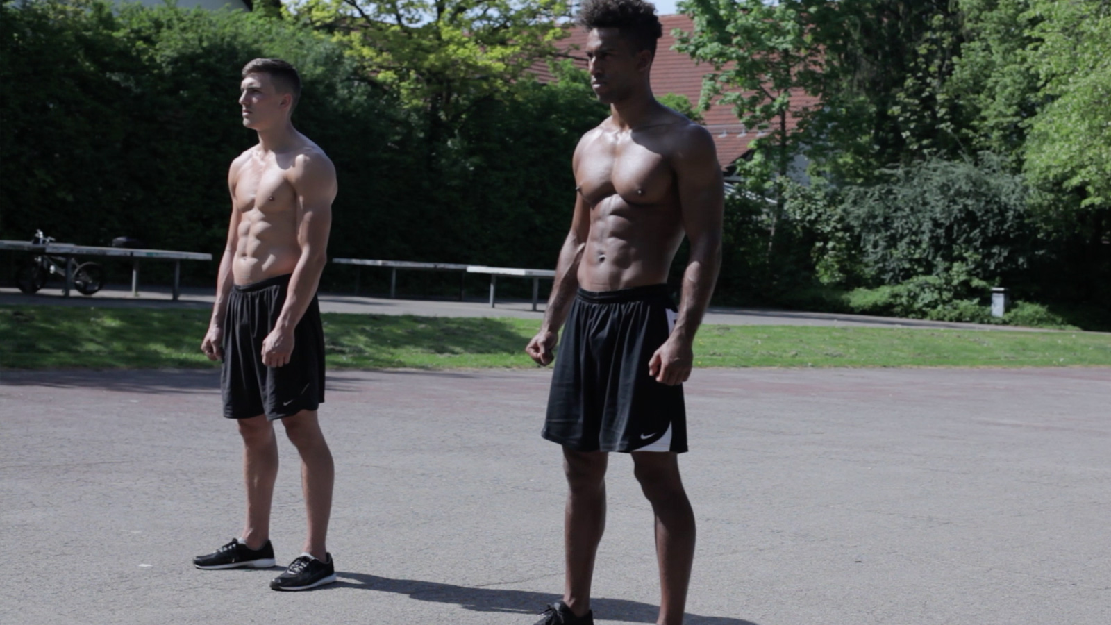 knowledge musclefibers