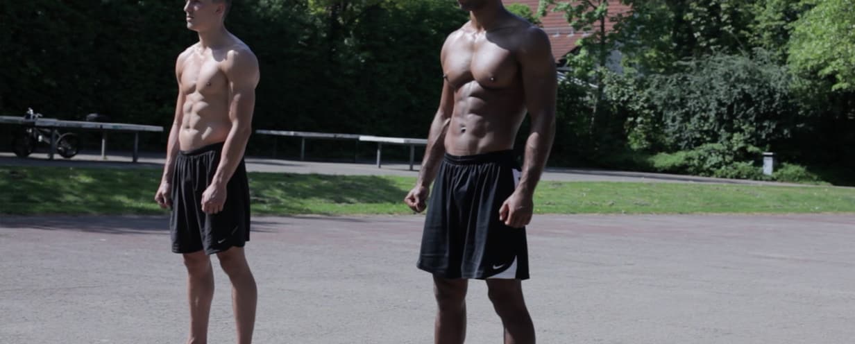 knowledge musclefibers