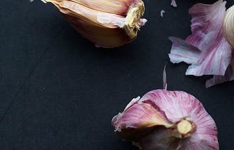 Header GarlicTips