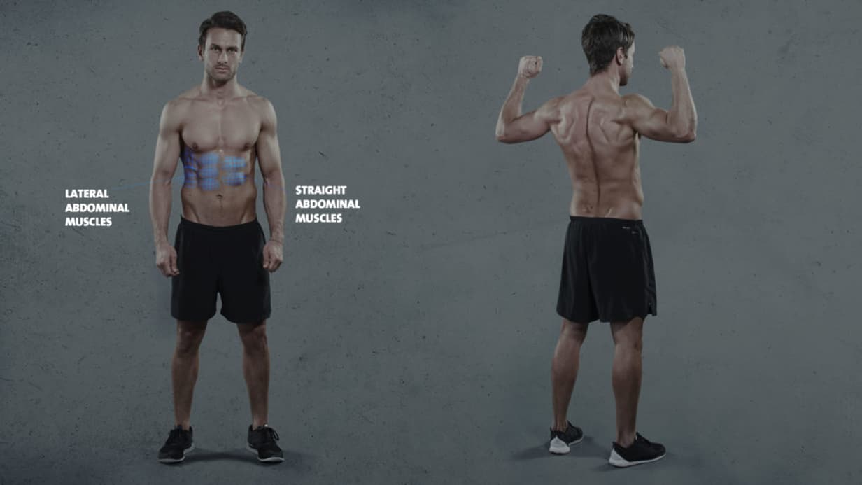 Muscles activated in Sit-ups