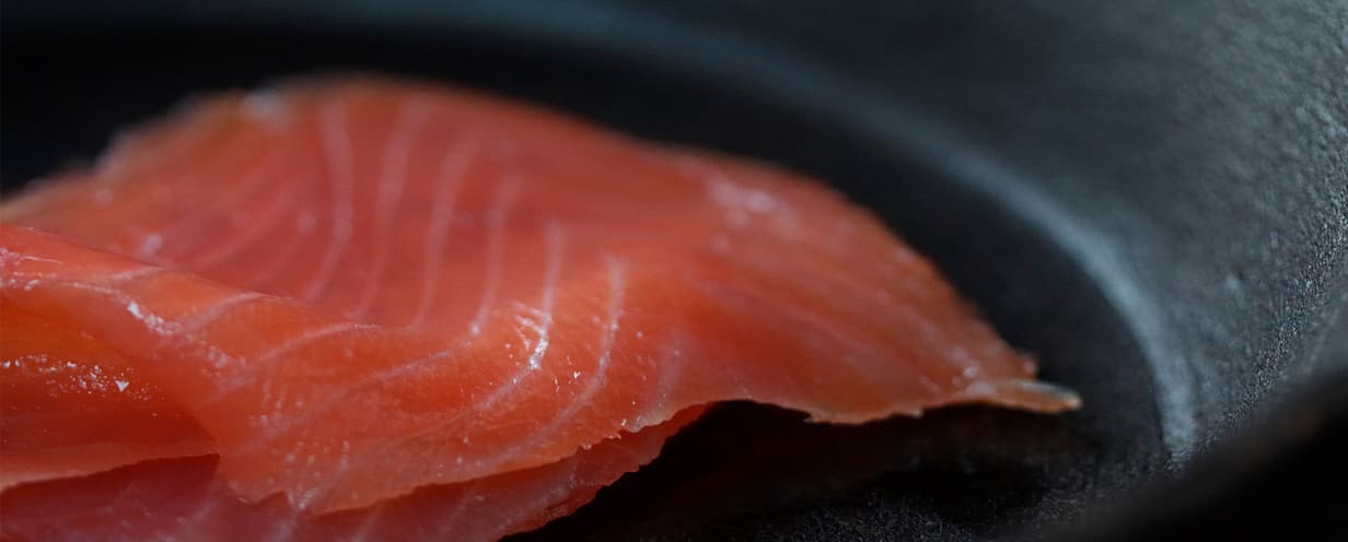 Salmon