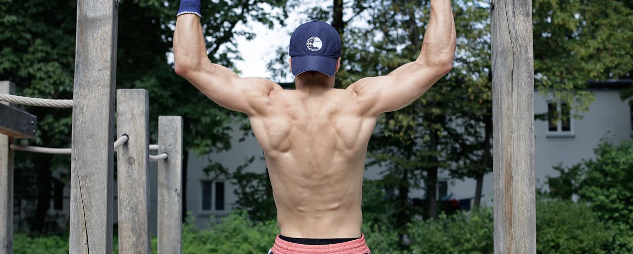 knowledge musclestructure