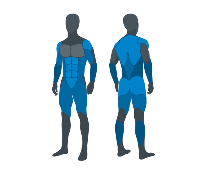rowing-machine-muscle-activation-diagram.jpg