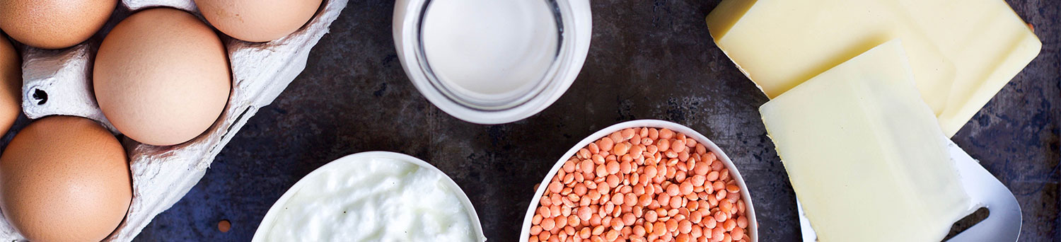 Header protein KC