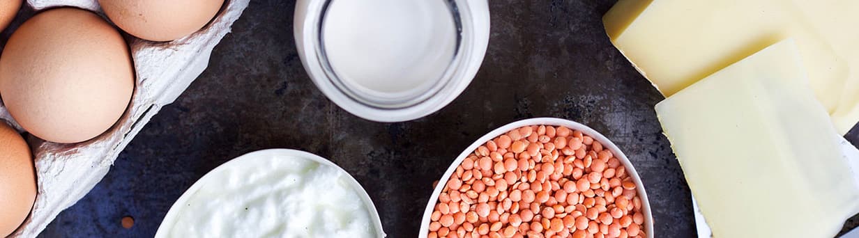 Header protein KC