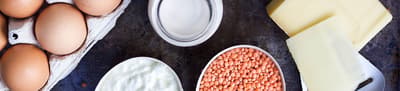 Header protein KC