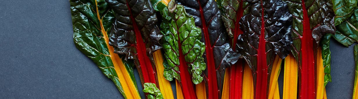 Header Singlefood chard 0743 1