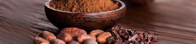 Header Cacao