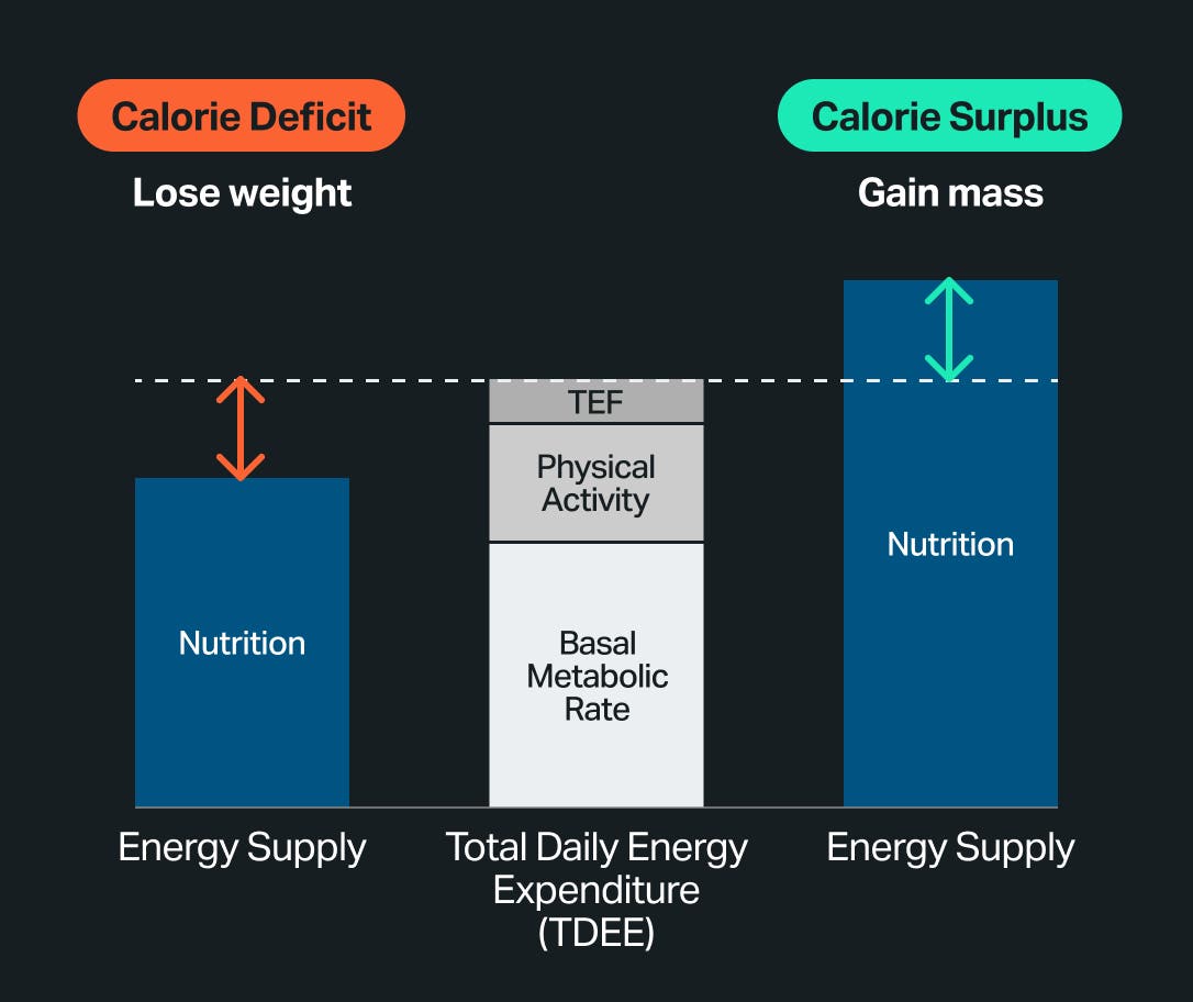 calorie-deficit-graph.jpg