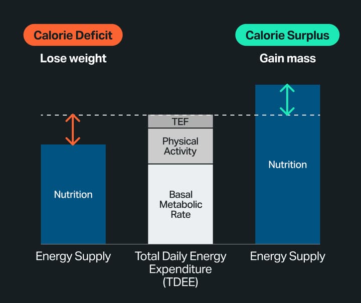 calorie-deficit-graph.jpg