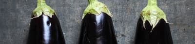 Header Aubergine